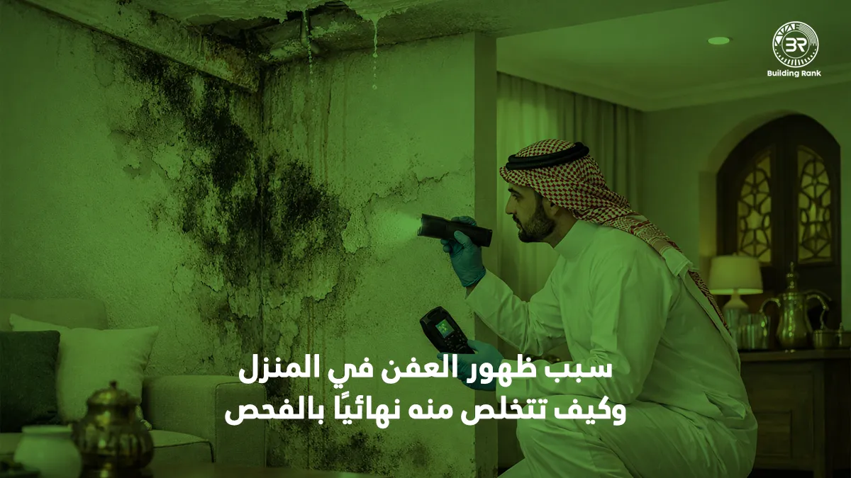 سبب ظهور العفن في المنزل