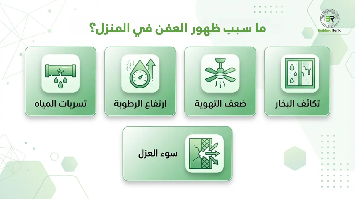 سبب ظهور العفن في المنزل