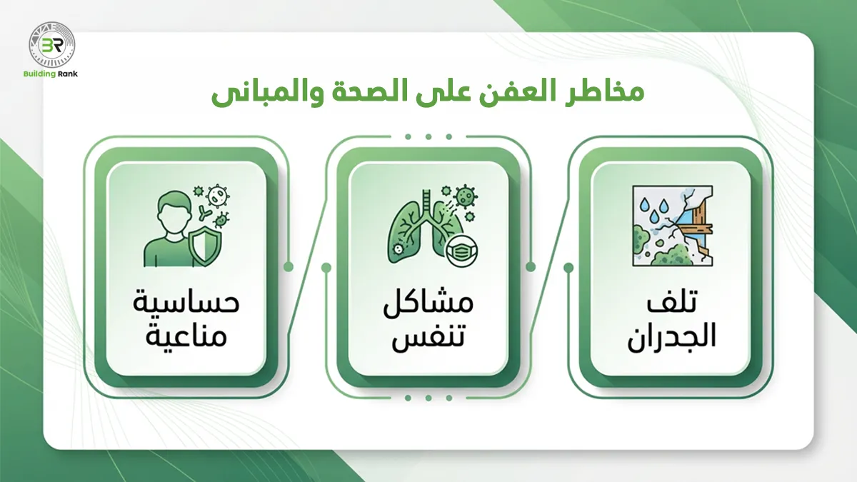 سبب ظهور العفن في المنزل